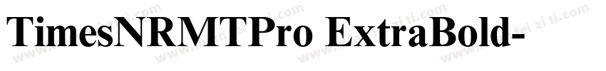 TimesNRMTPro ExtraBold字体转换